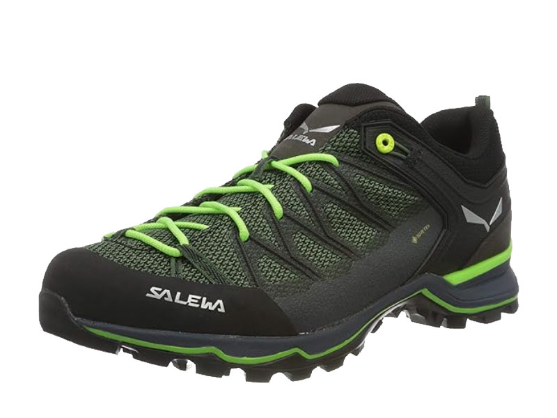 Salewa Mountain Trainer Lite GTX
